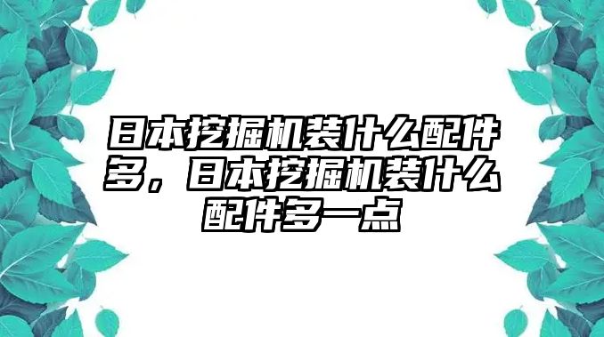 日本挖掘機(jī)裝什么配件多，日本挖掘機(jī)裝什么配件多一點(diǎn)