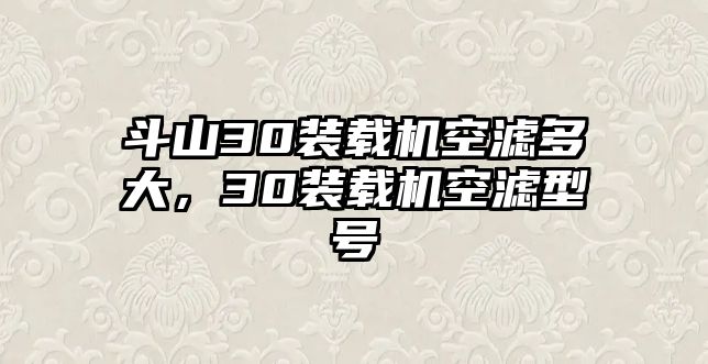 斗山30裝載機(jī)空濾多大，30裝載機(jī)空濾型號(hào)