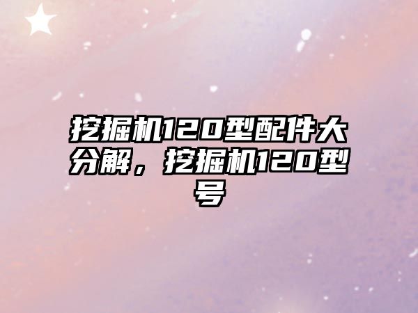 挖掘機(jī)120型配件大分解，挖掘機(jī)120型號