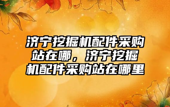 濟寧挖掘機配件采購站在哪，濟寧挖掘機配件采購站在哪里