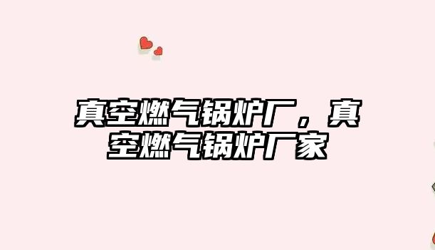 真空燃氣鍋爐廠，真空燃氣鍋爐廠家