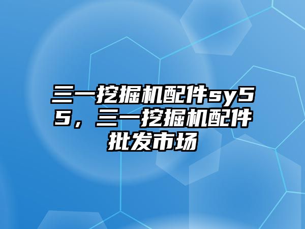 三一挖掘機(jī)配件sy55，三一挖掘機(jī)配件批發(fā)市場