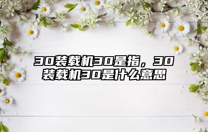 30裝載機30是指，30裝載機30是什么意思