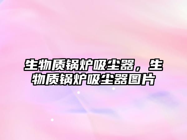 生物質(zhì)鍋爐吸塵器，生物質(zhì)鍋爐吸塵器圖片