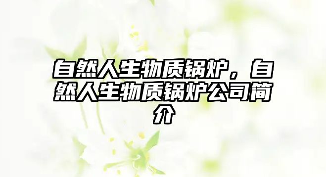 自然人生物質(zhì)鍋爐，自然人生物質(zhì)鍋爐公司簡介