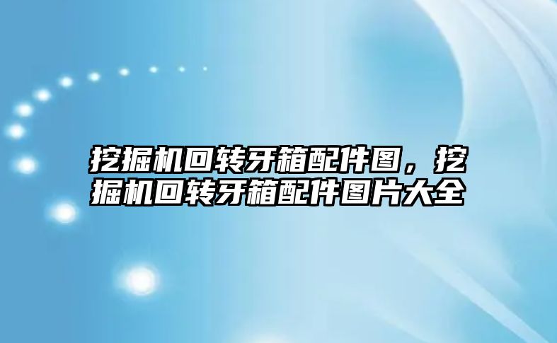 挖掘機(jī)回轉(zhuǎn)牙箱配件圖，挖掘機(jī)回轉(zhuǎn)牙箱配件圖片大全