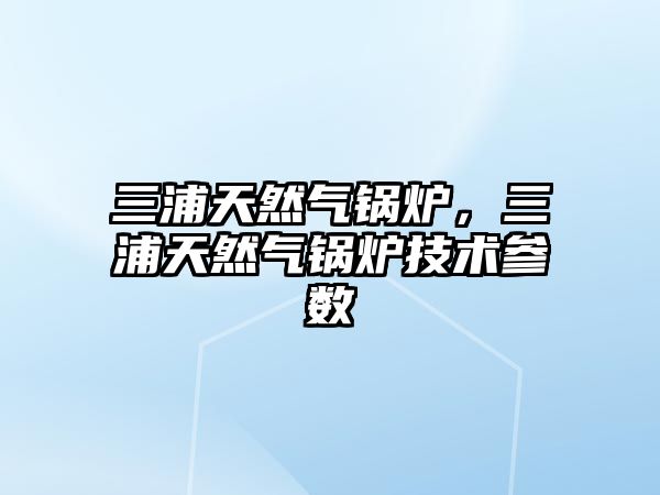 三浦天然氣鍋爐，三浦天然氣鍋爐技術(shù)參數(shù)