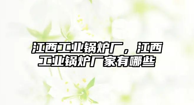 江西工業(yè)鍋爐廠，江西工業(yè)鍋爐廠家有哪些
