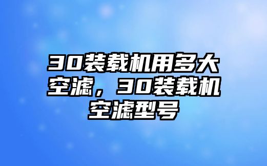 30裝載機用多大空濾，30裝載機空濾型號