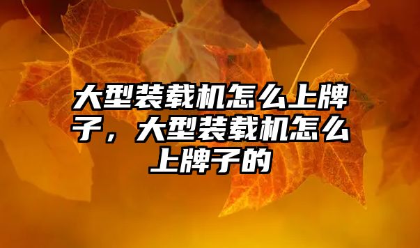 大型裝載機怎么上牌子，大型裝載機怎么上牌子的