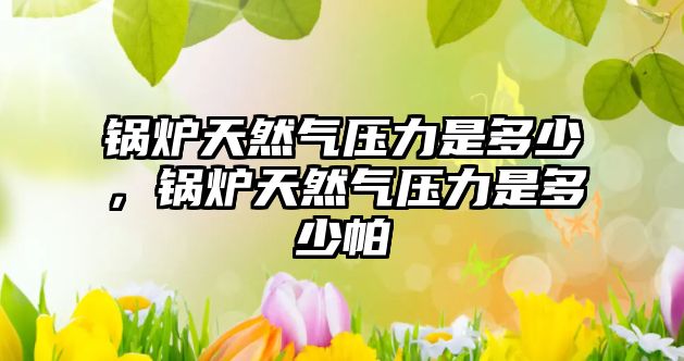 鍋爐天然氣壓力是多少，鍋爐天然氣壓力是多少帕