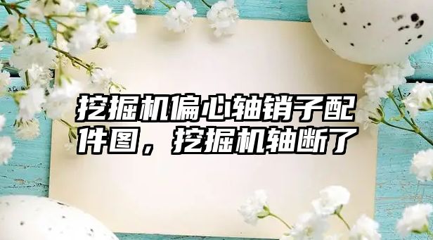 挖掘機偏心軸銷子配件圖，挖掘機軸斷了