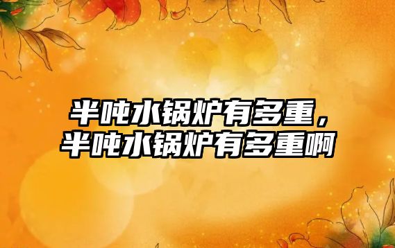 半噸水鍋爐有多重，半噸水鍋爐有多重啊