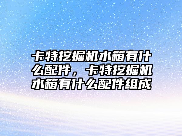卡特挖掘機水箱有什么配件，卡特挖掘機水箱有什么配件組成
