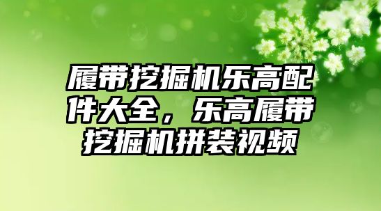 履帶挖掘機(jī)樂(lè)高配件大全，樂(lè)高履帶挖掘機(jī)拼裝視頻