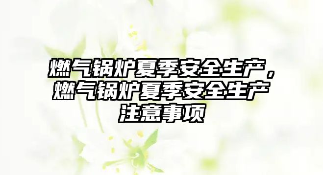 燃?xì)忮仩t夏季安全生產(chǎn)，燃?xì)忮仩t夏季安全生產(chǎn)注意事項(xiàng)