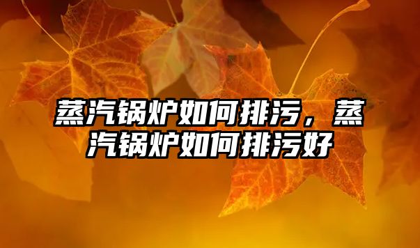 蒸汽鍋爐如何排污，蒸汽鍋爐如何排污好