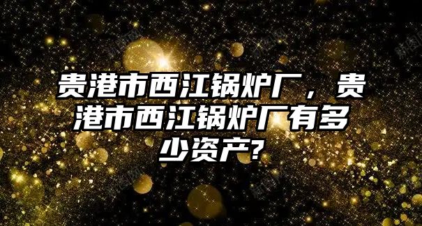 貴港市西江鍋爐廠，貴港市西江鍋爐廠有多少資產(chǎn)?