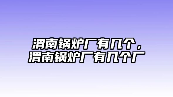 渭南鍋爐廠有幾個(gè)，渭南鍋爐廠有幾個(gè)廠