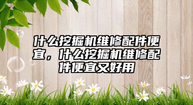 什么挖掘機維修配件便宜，什么挖掘機維修配件便宜又好用