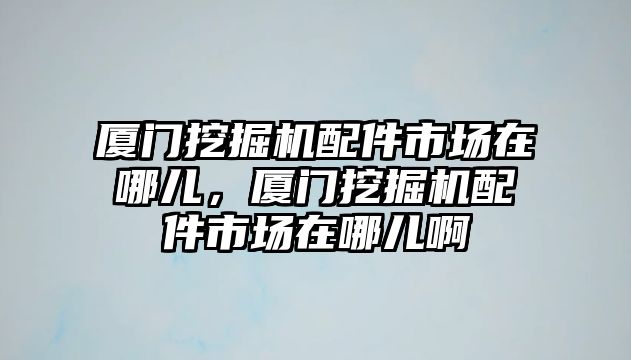 廈門挖掘機配件市場在哪兒，廈門挖掘機配件市場在哪兒啊