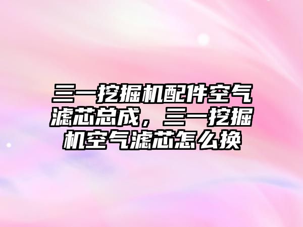 三一挖掘機(jī)配件空氣濾芯總成，三一挖掘機(jī)空氣濾芯怎么換
