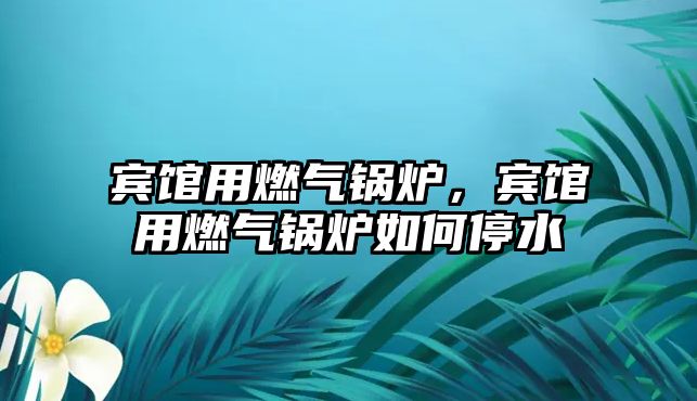 賓館用燃?xì)忮仩t，賓館用燃?xì)忮仩t如何停水