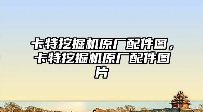 卡特挖掘機(jī)原廠配件圖，卡特挖掘機(jī)原廠配件圖片