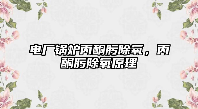 電廠鍋爐丙酮肟除氧，丙酮肟除氧原理
