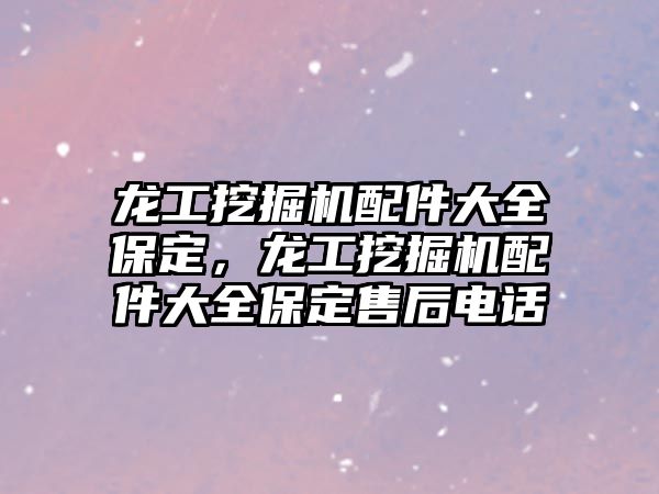 龍工挖掘機(jī)配件大全保定，龍工挖掘機(jī)配件大全保定售后電話