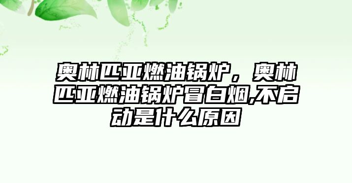 奧林匹亞燃油鍋爐，奧林匹亞燃油鍋爐冒白煙,不啟動(dòng)是什么原因