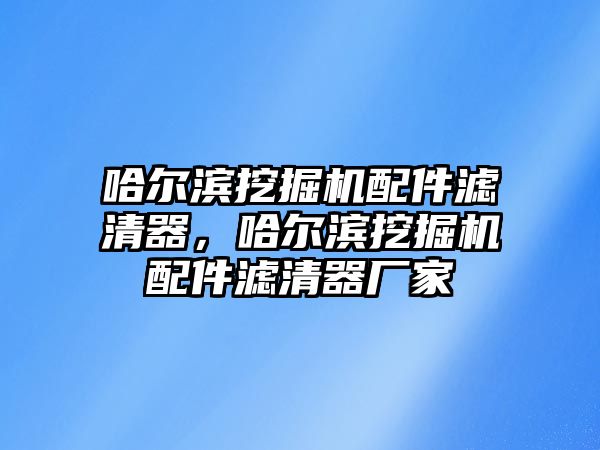 哈爾濱挖掘機(jī)配件濾清器，哈爾濱挖掘機(jī)配件濾清器廠家