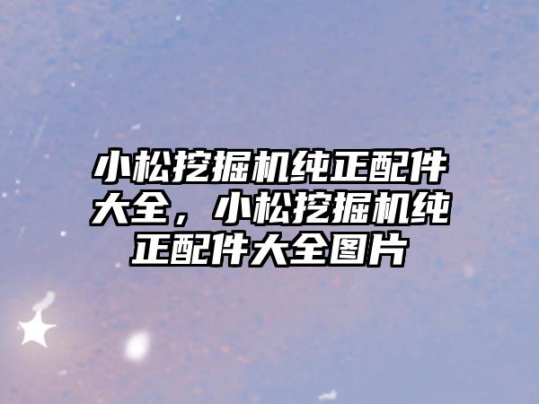 小松挖掘機(jī)純正配件大全，小松挖掘機(jī)純正配件大全圖片