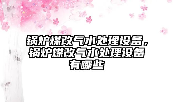 鍋爐煤改氣水處理設備，鍋爐煤改氣水處理設備有哪些