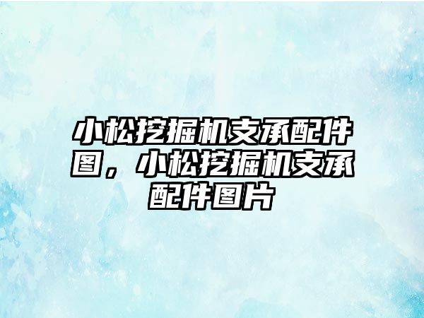 小松挖掘機(jī)支承配件圖，小松挖掘機(jī)支承配件圖片