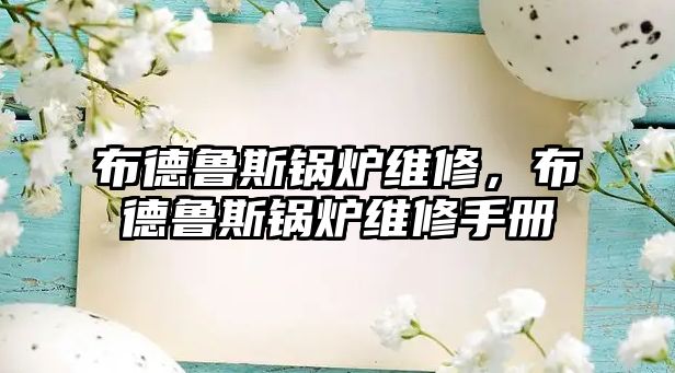 布德魯斯鍋爐維修，布德魯斯鍋爐維修手冊