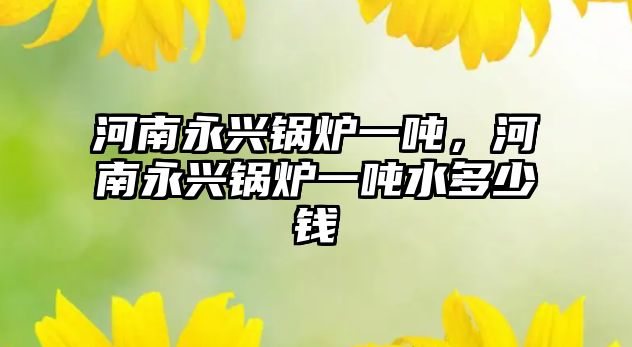 河南永興鍋爐一噸，河南永興鍋爐一噸水多少錢