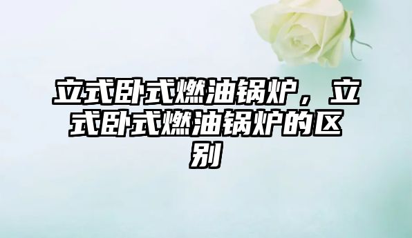 立式臥式燃油鍋爐，立式臥式燃油鍋爐的區(qū)別