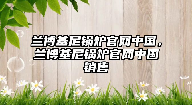 蘭博基尼鍋爐官網(wǎng)中國，蘭博基尼鍋爐官網(wǎng)中國銷售