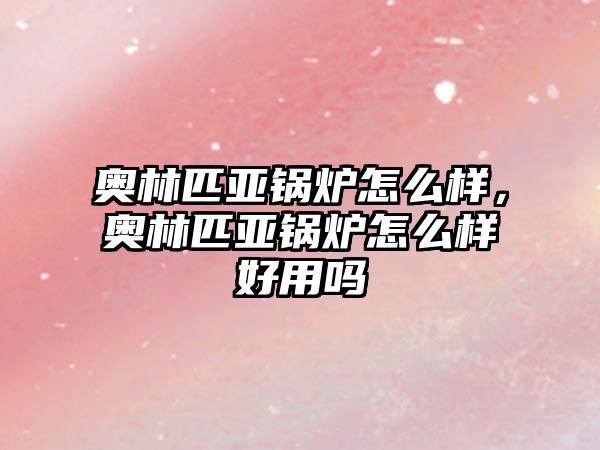 奧林匹亞鍋爐怎么樣，奧林匹亞鍋爐怎么樣好用嗎