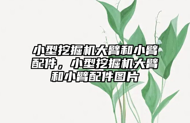 小型挖掘機大臂和小臂配件，小型挖掘機大臂和小臂配件圖片