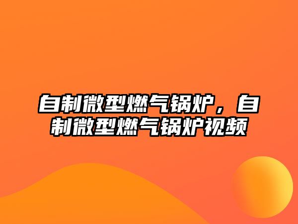 自制微型燃?xì)忮仩t，自制微型燃?xì)忮仩t視頻