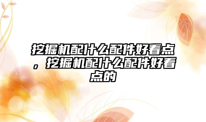 挖掘機配什么配件好看點，挖掘機配什么配件好看點的