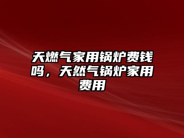 天燃?xì)饧矣缅仩t費(fèi)錢嗎，天然氣鍋爐家用費(fèi)用