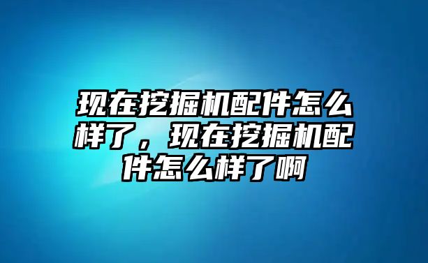 現(xiàn)在挖掘機配件怎么樣了，現(xiàn)在挖掘機配件怎么樣了啊