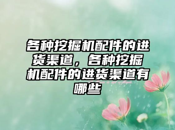 各種挖掘機(jī)配件的進(jìn)貨渠道，各種挖掘機(jī)配件的進(jìn)貨渠道有哪些