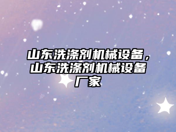山東洗滌劑機械設(shè)備，山東洗滌劑機械設(shè)備廠家