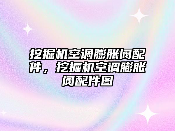 挖掘機空調(diào)膨脹閥配件，挖掘機空調(diào)膨脹閥配件圖
