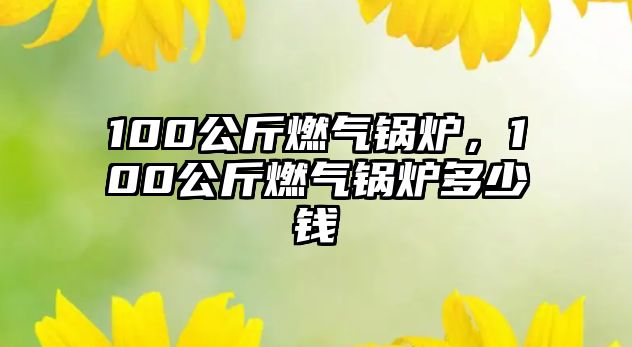 100公斤燃氣鍋爐，100公斤燃氣鍋爐多少錢