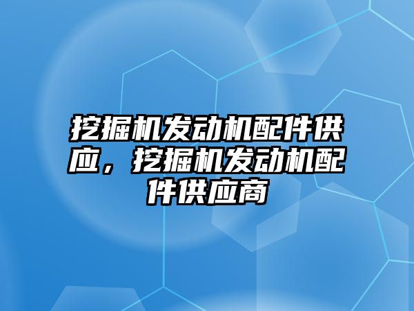 挖掘機發(fā)動機配件供應(yīng)，挖掘機發(fā)動機配件供應(yīng)商